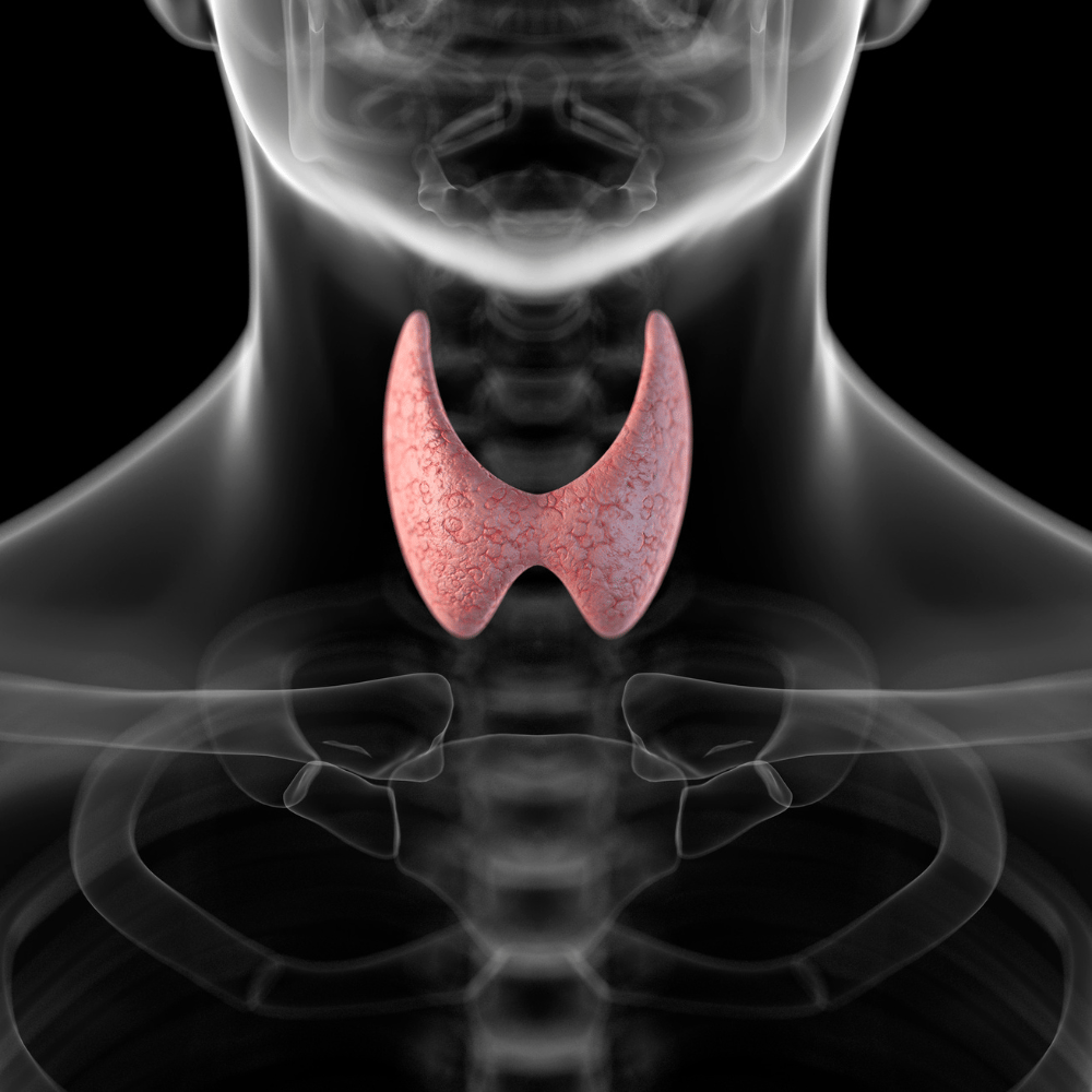 Male Hypothyroidism